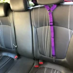 Solid Color Two-in-one Pet Car Seat Belt Nylon Lead Leash Backseat Safety Belt Adjustable Dogs Harness Collar Pet Accessories - Image 2
