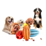 Interactive Bouncy Pet Supplies