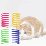 Colourful Cat Spring Toys – Interactive Coil Set - Image 6