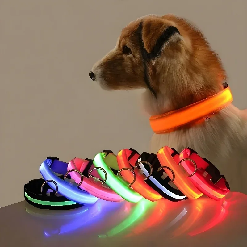 S7fe4181de5d940aa98ae0ed838a2683fd.webp Dog Collar Nylon LED Night Safety Flashing Glow In The Dark Pet Dog Leash pet Dogs Luminous Fluorescent dog accessories collar - Image 1