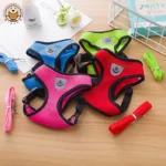 Dog Vest Walking Leash For Puppy Dog Cat Collar Polyester Adjustable Mesh Dog For Small Medium Pet Accessories
