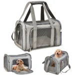 Travel Bags Airline Approved
